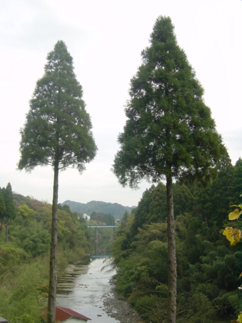 Dsc02456